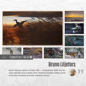 Set of 40 Samsung Frame TV 4K Art. Bruno Liljefors Famous Paintings Collection. Instant Download Frame TV Art. 36