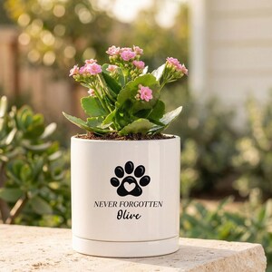 May include: A white ceramic planter with a paw print design and the words "NEVER FORGOTTEN Olive". The planter holds a flowering plant with pink blossoms and green leaves. The planter sits on a stone surface.