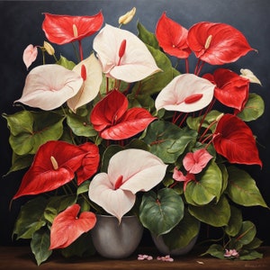 24x24 Inches Pretty Anthurium blooms. Anthurium Art Print. Anthurium poster. Anthurium canvas. Edelweiss poster. Home decor wall painting