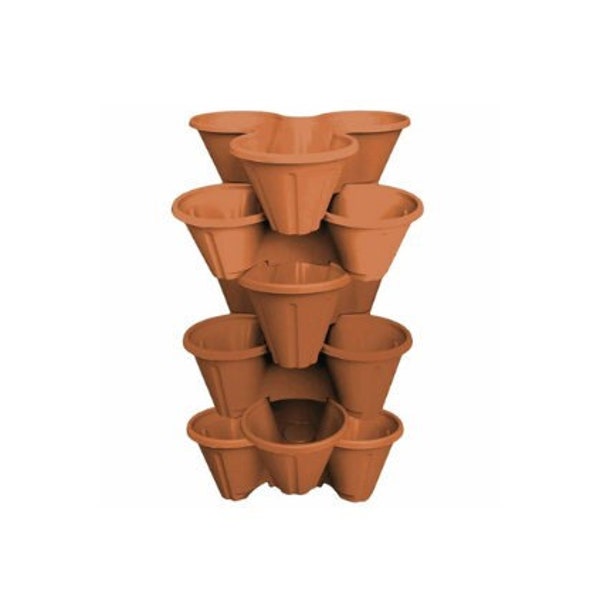 Terracotta Strawberry Planter Etsy UK