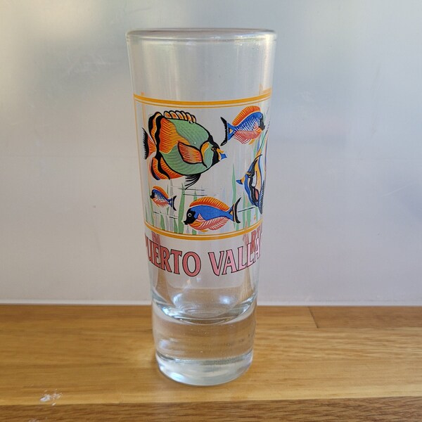 Puerto Vallarta Shot Glass Etsy