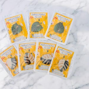 Monstera Pop Socket, Plant Pop Socket, Plant Phone Grip Holder, Plant Lover Gift, Phone Accessories, Monstera Gift, Monstera Lover Gift