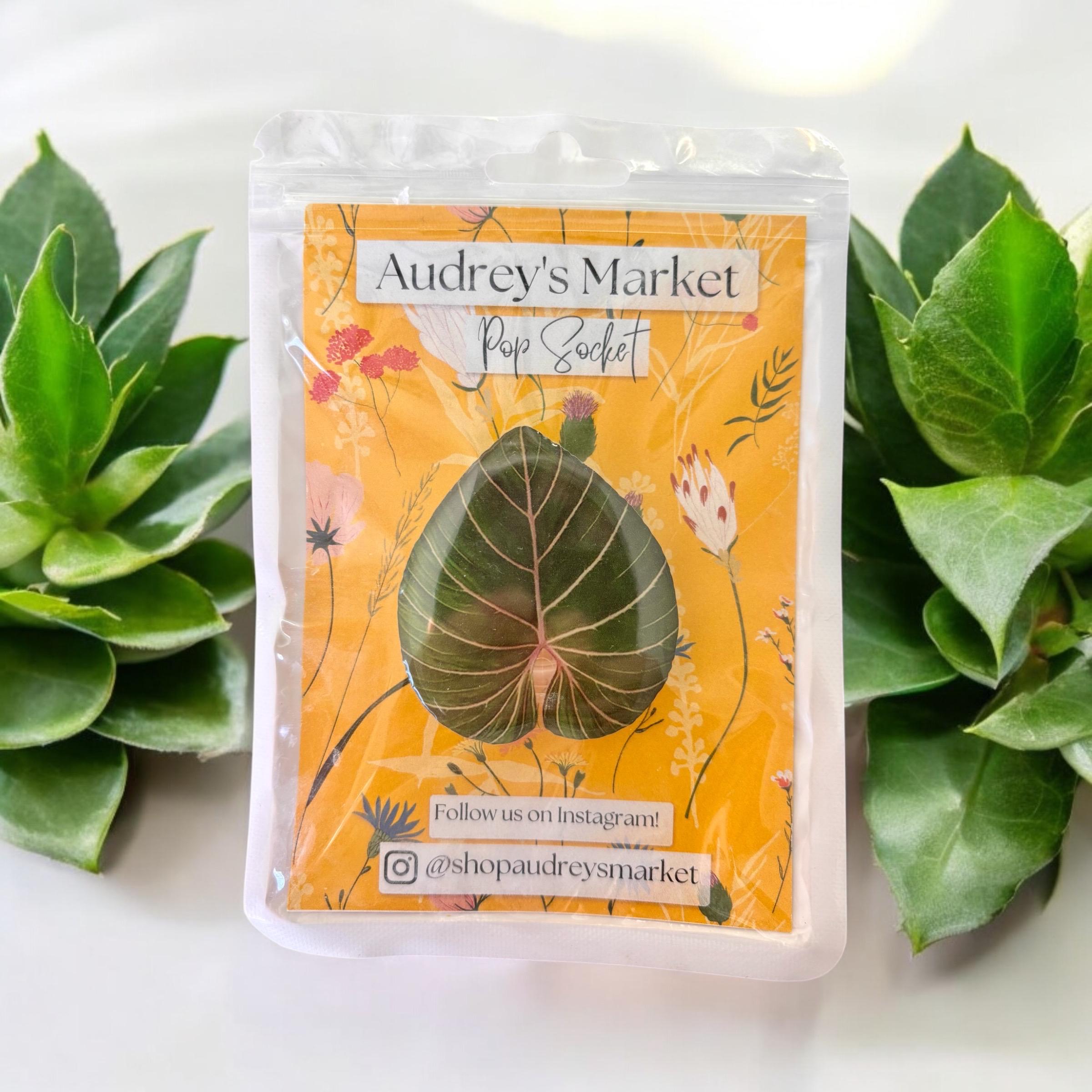 Monstera Plant Pop Socket, Green Thumb Gift - Etsy