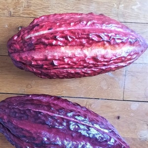 Pode incluir: Duas vagens de cacau, uma é de cor vermelho escuro e a outra é de cor roxo escuro. Ambas as vagens têm uma superfície áspera e texturizada.