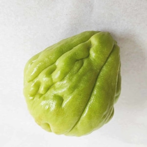 Peut inclure: Une chayote verte unique avec une texture bosselée et ridée. La chayote est un fruit tropical qui peut être consommé cru ou cuit.