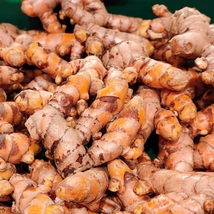 Peut inclure: Gros plan sur un tas de racines de curcuma, une épice jaune orangé vif utilisée en cuisine et à des fins médicinales.