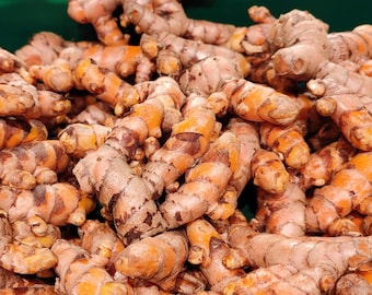 Könnte beinhalten: Nahaufnahme eines Stapels Kurkumawurzeln, ein leuchtend orange-gelbes Gewürz, das zum Kochen und für medizinische Zwecke verwendet wird.