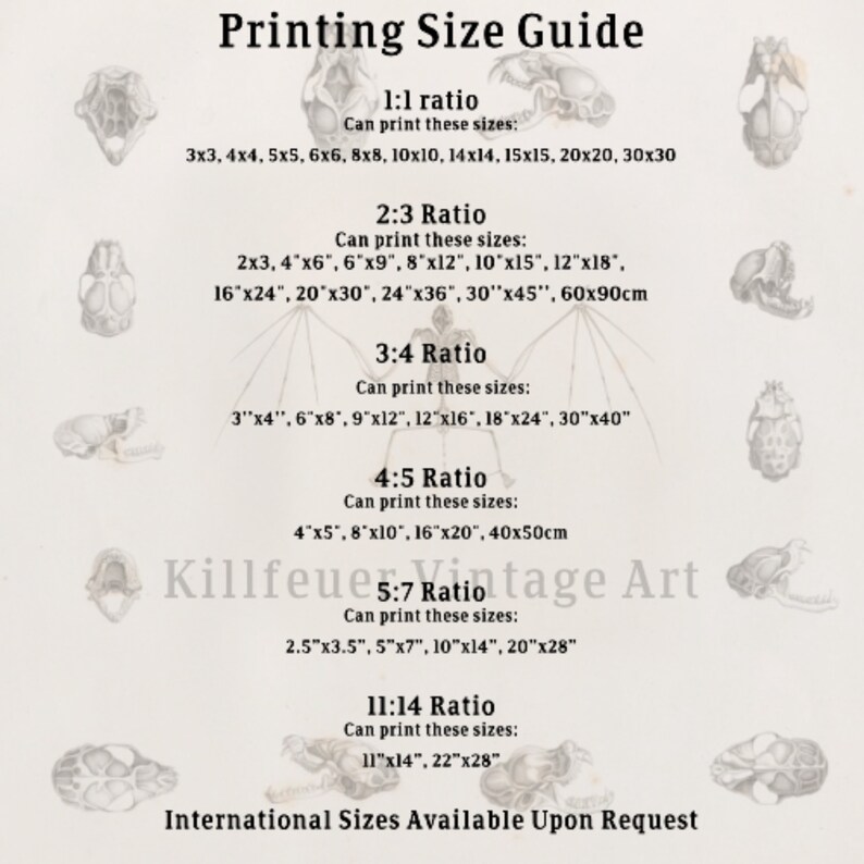 Peut inclure: Un guide des tailles d'impression de style vintage, intitul&eacute; "Printing Size Guide". Il d&eacute;taille les tailles pour diff&eacute;rents ratios (1:1, 2:3, 3:4, 4:5, 5:7, 11:14), avec des tailles en pouces et cm, et des illustrations de cr&acirc;nes.