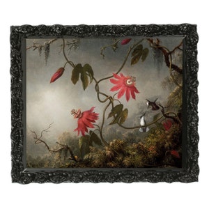 Vintage Hummingbird & Passion Flower Art, Botanical Wall Print, Victorian Nature Illustration, Digital Download