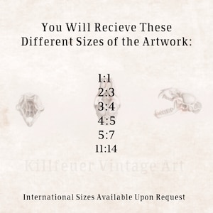 Peut inclure: Image avec le texte "You Will Recieve These Different Sizes of the Artwork:" suivi de rapports d'aspect. L'image affiche &eacute;galement trois illustrations squelettiques et le texte "Killfeuer Vintage Art" et "International Sizes Available Upon Request."