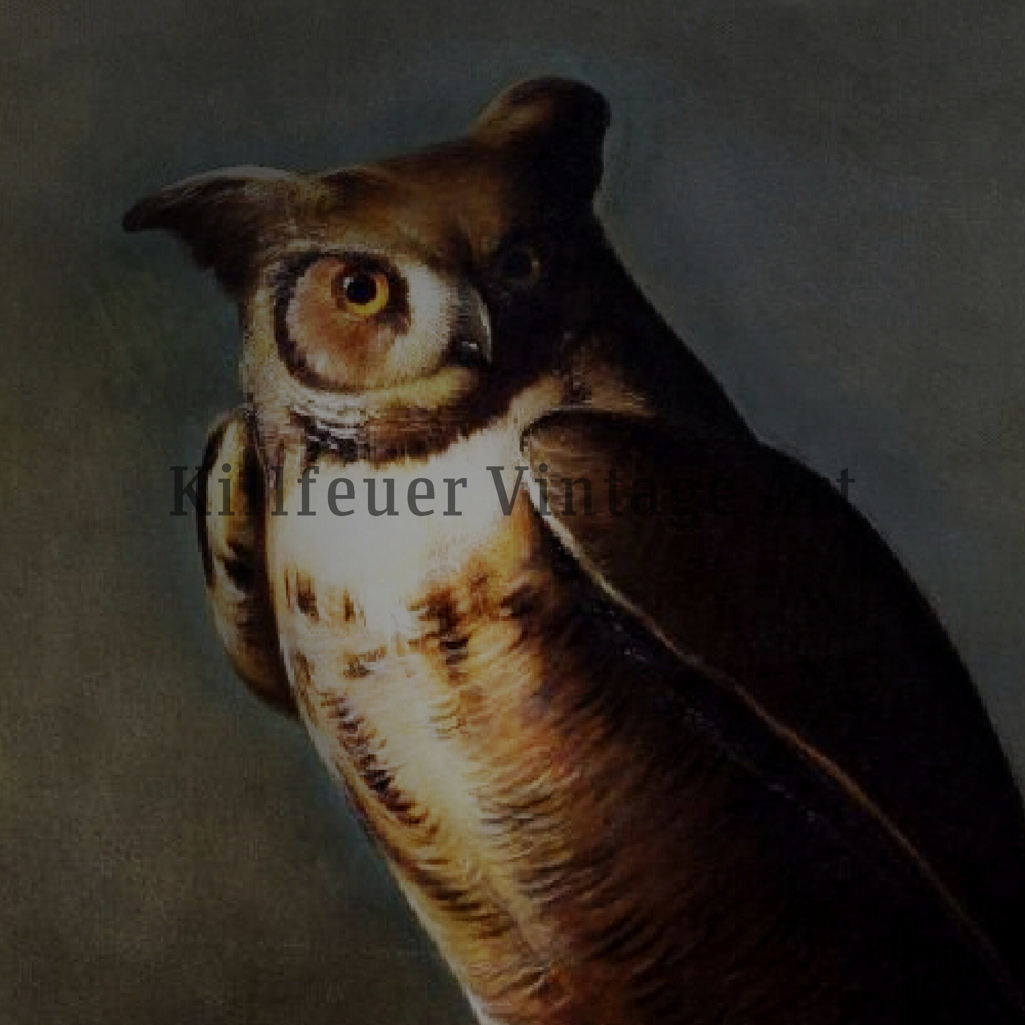 Dark Academia Owl Print Dark Academia Printable Wall Art - Etsy