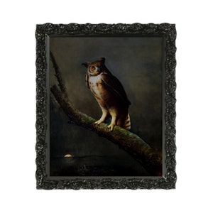 Dark Academia Owl Print, Dark Academia Printable Wall Art, Moody Rustic Bird Print, Vintage Animal Wall Art, Dark Art Digital Download