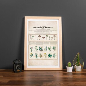 Poisonous Plants Poster Print, Botanical Wall Art, Gothic Home Decor, Botany, Witchy, Herbs, Flowers, Belladonna, Poison, Vintage, Garden image 10