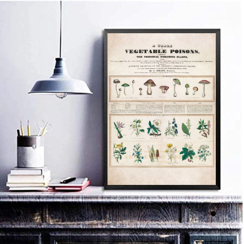 Poisonous Plants Poster Print, Botanical Wall Art, Gothic Home Decor, Botany, Witchy, Herbs, Flowers, Belladonna, Poison, Vintage, Garden image 9