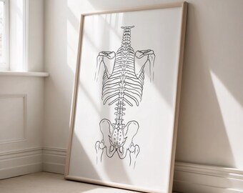 Impresión de arte lineal de esqueleto minimalista, decoración de pared para oficina de anatomía, ilustración científica moderna, regalo para estudiantes de medicina, póster de descarga digital