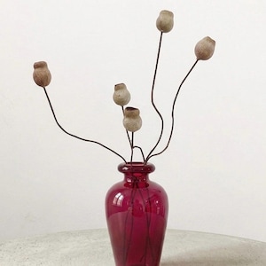 May include: A deep red glass vase holding dried floral stems with bulbous seed pods. The vase has a rounded body and a narrow neck. The seed pods are light brown and the stems are dark brown.