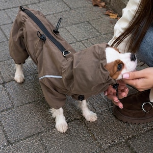 Peut inclure: Un imperméable pour chien marron avec une capuche, une fermeture éclair noire le long du dos et des cordons de serrage noirs réglables. Le vêtement présente une bande réfléchissante argentée sur le côté et un anneau en D en métal.