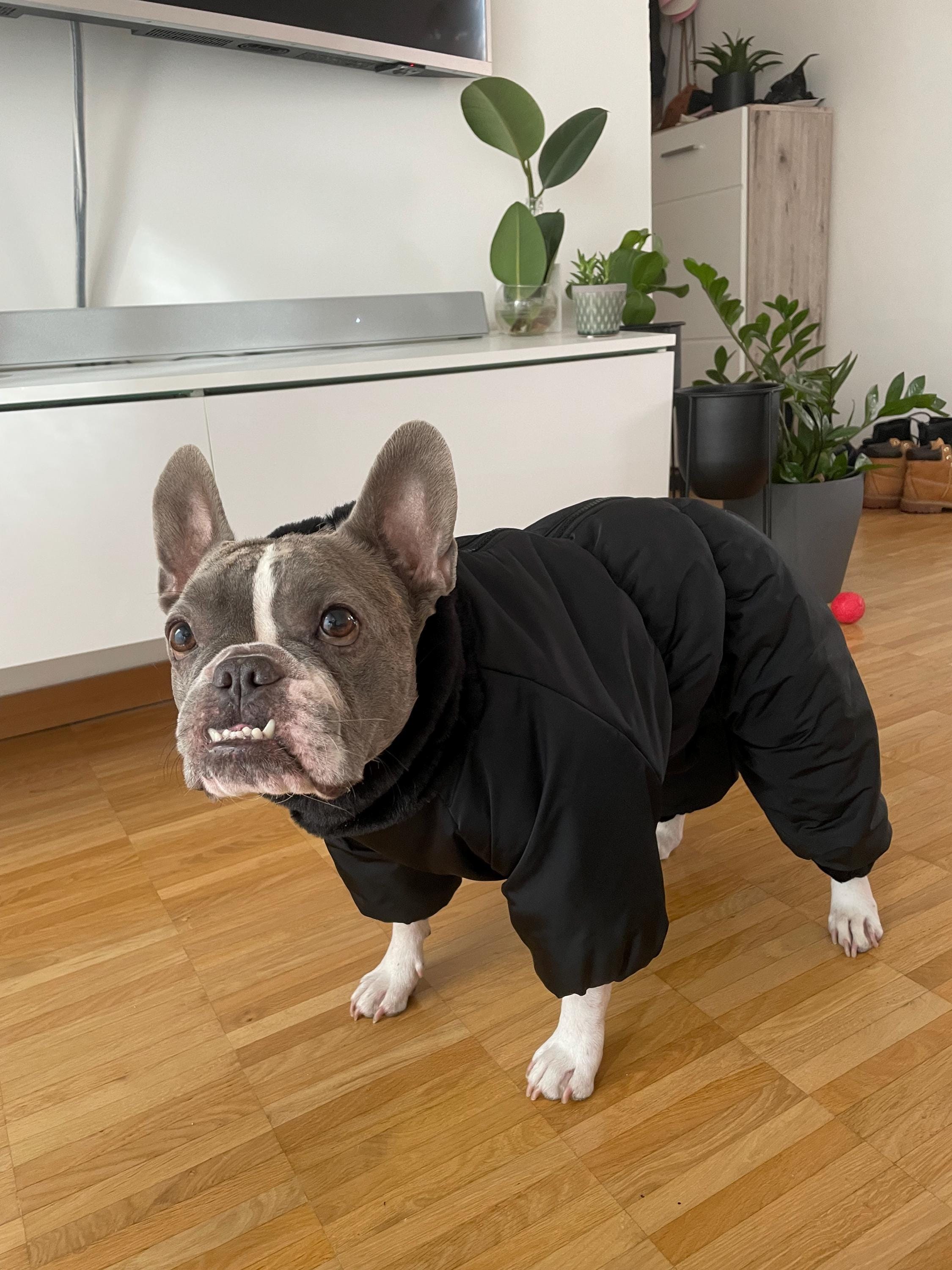暖かい冬用犬用ジャンプスーツ | ブラック犬用スノースーツ | ジッパー