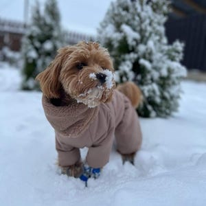 Luan POODLE FUR COAT rrr】Luan POODLE FUR COAT ブラウン rrr】Luan