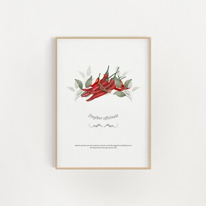 Chili Pepper Printable Digital Download Art, Digital Wall Art, Watercolor Chili Pepper Wall Art, Instant Art, Printable Art, Spice Wall Art