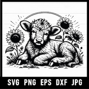 May include: A black and white illustration of a Highland calf resting in grass, with sunflowers. The calf has a fluffy coat and is facing forward. The image includes the text "SVG PNG EPS DXF JPG" at the bottom.
