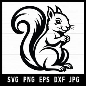 May include: A black and white graphic illustration of a squirrel in a seated position with a large, curved tail. Below the squirrel, the text reads SVG PNG EPS DXF JPG in a bold, sans-serif font, set against a white background.