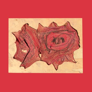 Puede incluir: Una obra de arte abstracta hecha de papel, en tonos rojos, rosados y marrones. El papel está doblado y superpuesto para crear un efecto tridimensional. La obra está montada sobre un fondo beige.