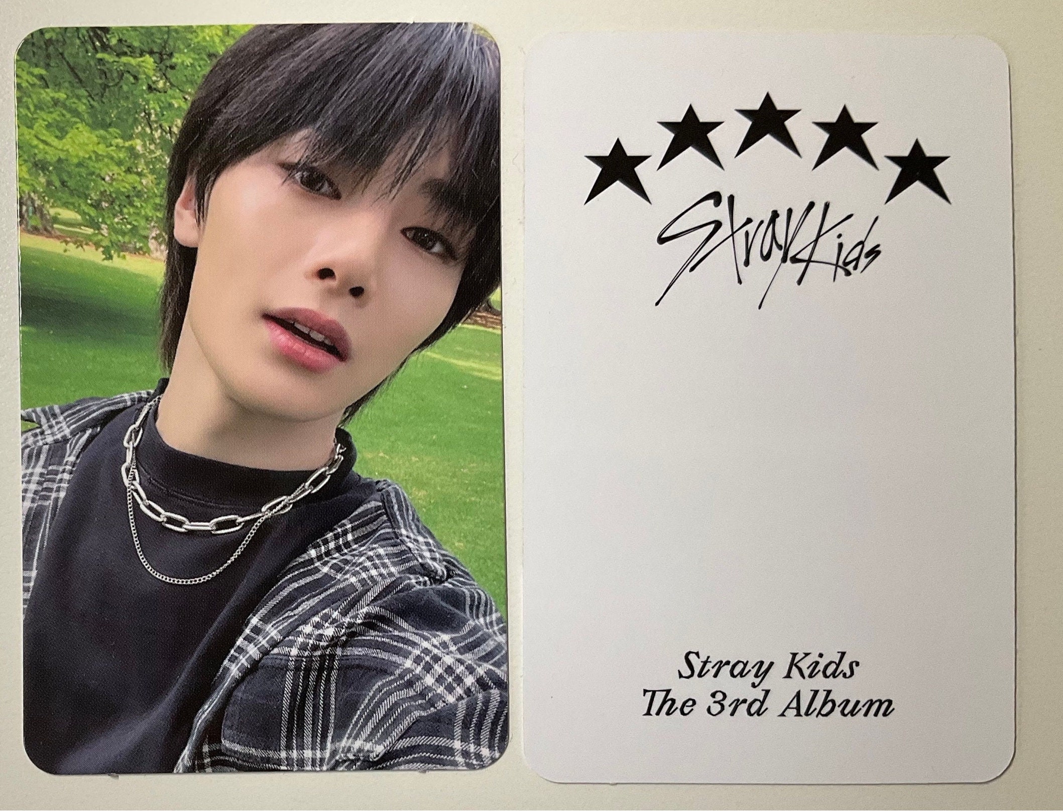Stray Kids SKZ Felix IN LIFE Apple Music Photocard PC Tradingcard Kpop  Limited
