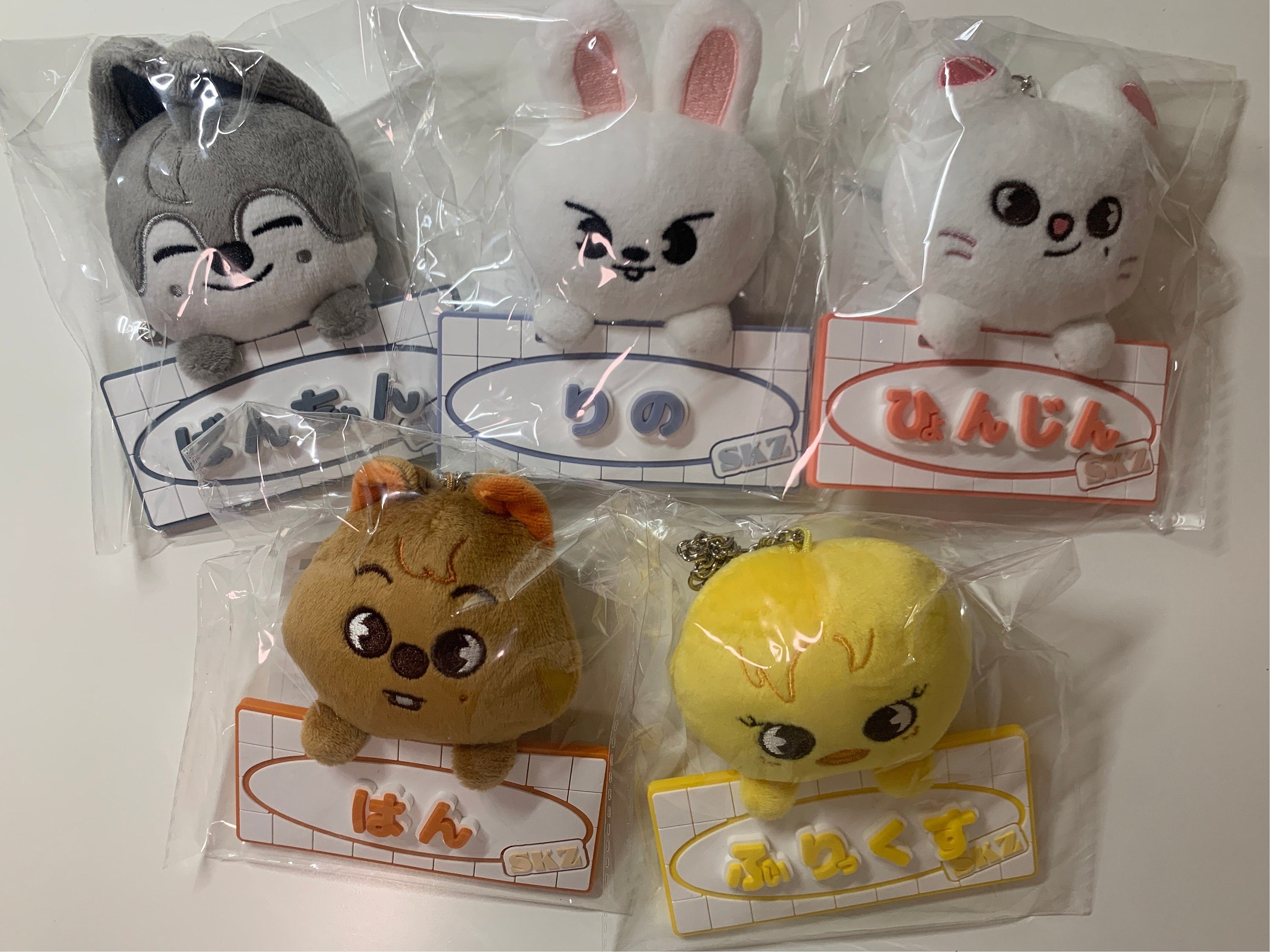 Official Stray Kids SKZ Toy World Fan Connecting Meeting 2024 