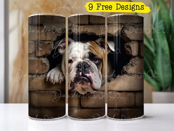 Skinny store english bulldog
