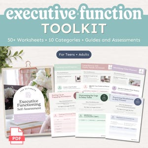 Può includere: Un toolkit per le funzioni esecutive rivolto ad adolescenti e adulti, composto da una cartellina con una pagina di autovalutazione e diversi fogli di lavoro su obiettivi, memoria, gestione del tempo e consapevolezza.