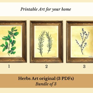 Art to Print for your home - Herbs and botanicals watercolor original  - Digital Download