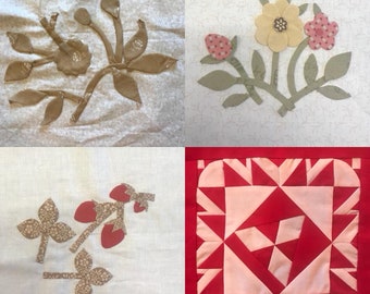 Dorry&#39;s Vriendinnen Quilt, maand 6