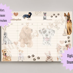 DinA4 digital timetable to print out yourself / school / planner / enrollment / gift