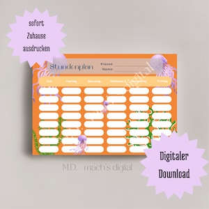 DinA4 digital timetable to print out yourself / school / planner / enrollment / gift