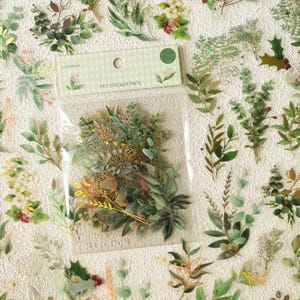 Paquete de 40 hojas de pegatinas decorativas vintage de hojas y flores verdes doradas para álbumes de recortes, diarios y manualidades. Etiquetas elegantes para diarios de naturaleza.