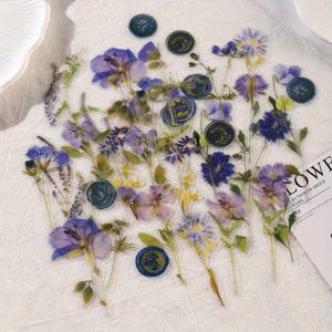 Collection d'autocollants pour animaux de compagnie, fleurs séchées, 40 pièces décoratives faites à la main, matériel de scrapbooking, album de journal intime, fournitures pour décoration florale, art