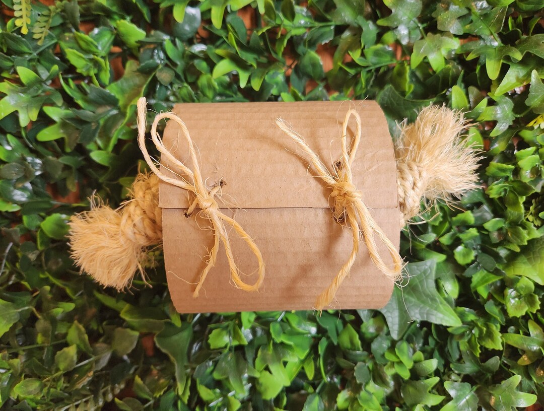 Cardboard Roll W/ Sisal Braid Etsy