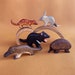 see more listings in the Australian animals section