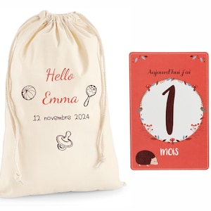 Cartão de marco do bebê com bolsa personalizada - 12 cartões de 1 mês a 1 ano - bebê de 1 ano - presente de nascimento - mês de aniversário do bebê - presente de bebê