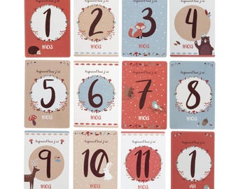 Set of 12 baby milestone cards - 1 month to 1 year card - baby's first year - birth gift - baby birthday month - baby gift