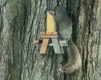 May include: A gray squirrel perched on a miniature picnic table attached to a tree trunk, eating from a yellow corn cob. The wooden table has a classic A-frame design, offering a charming scene of wildlife.