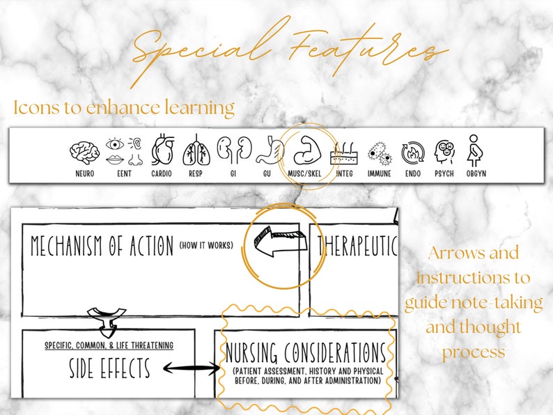 May include: A medical study guide with the title "Special Features" in gold script. It includes icons for learning, a section on the mechanism of action, and nursing considerations. Arrows and instructions guide note-taking and the thought process.