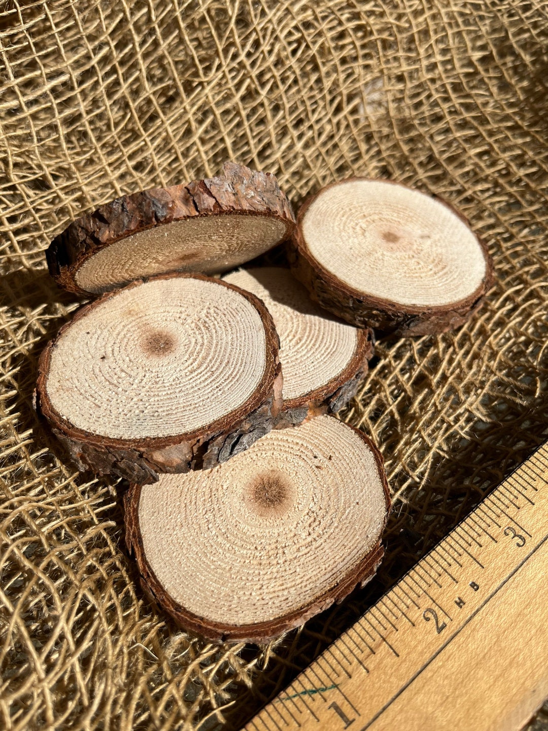 Pine Rounds Live Edge Wood Rounds Natural Wood Rounds Etsy