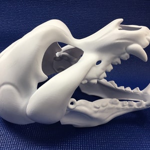 Canine Skull Dog 3D printed fursuit head base kit