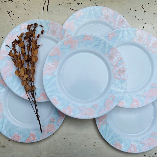 Ensemble de 6 assiettes plates Arcopal Modèle « Paradis »