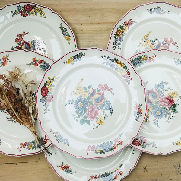 Ensemble de 6 assiettes plates Villeroy & Boch Mettlach Modèle « Fleurs de Montclair »