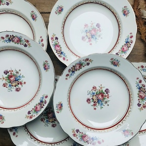 Set of 6 soup plates from the Faiencerie de Sarreguemines Model Fanchette image 1