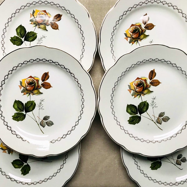 Set of 6 flat plates from the Faïenceries de Sarreguemines Roses Jaunes