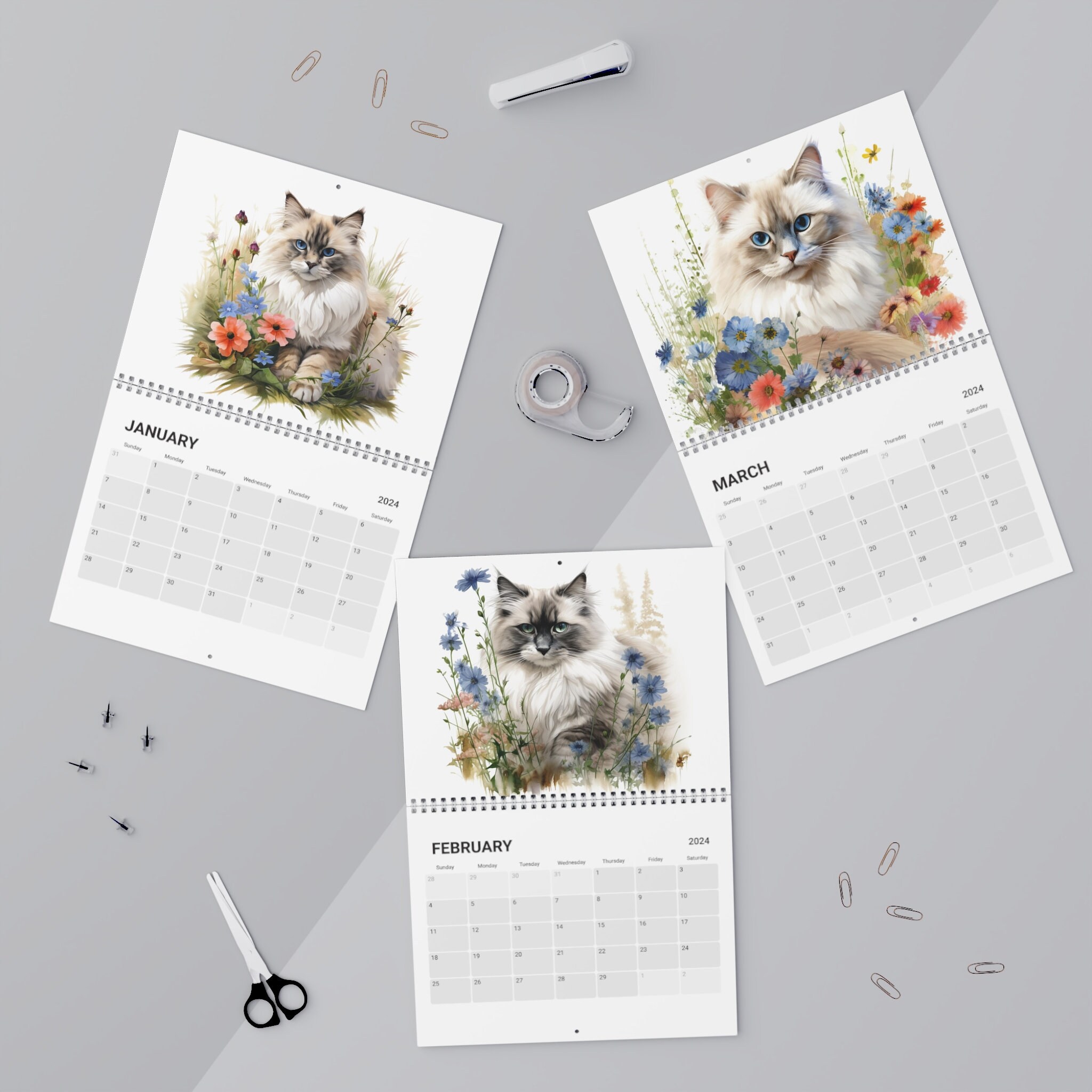 Ragdoll Cat Calendar 2024 Ragdoll Cat Ragdoll Kitten Cat Etsy